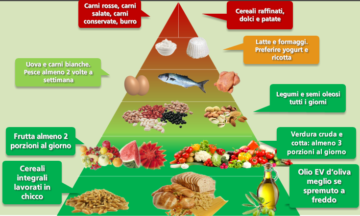 harvard-food pyramid